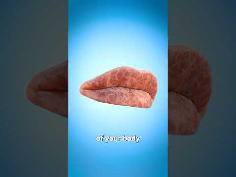 Why Our Lips Chap 😬 Doctor Reacts