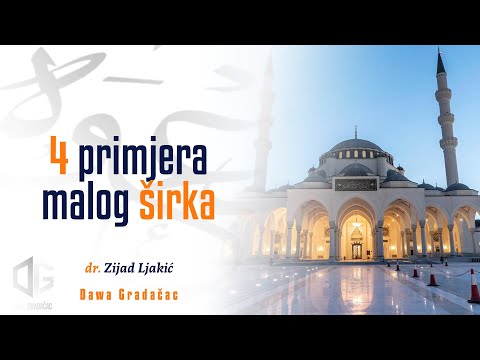 4 PRIMJERA MALOG ŠIRKA - dr. Zijad Ljakić