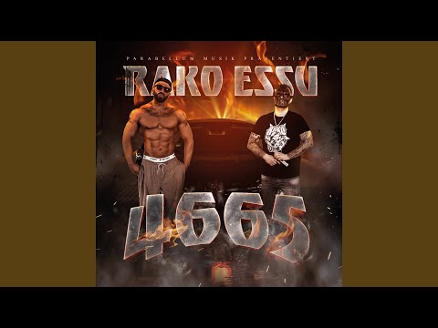 4665 (Frantic Remix)