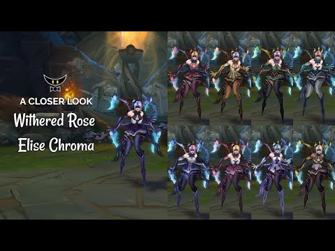 Withered Rose Elise Chromas