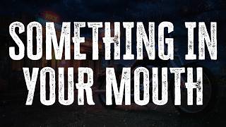 Nickelback - Something in Your Mouth | Lyrics