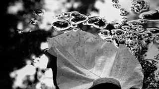 Peter Ketar - Days Past