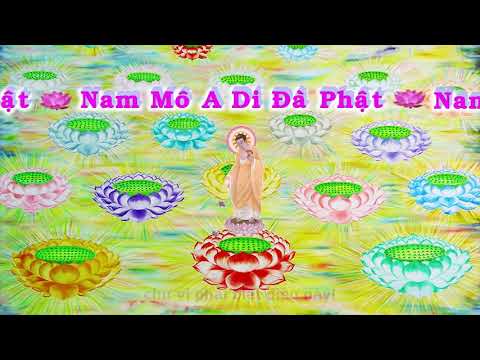 HD | Kinh A Di Đà Sớ Sao Diễn Nghĩa, tập 151 [phụ đề] - Lão Pháp Sư Tịnh Không
