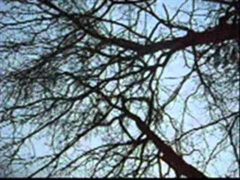 GHET'N'MRIGZTAPE- Murari & Mrigo - V Tem Lajfu.wmv