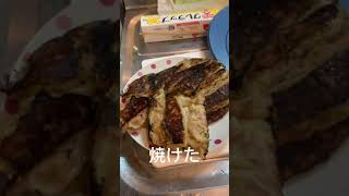 汚いキッチンで餃子作ってみた