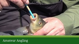 How to unhook a fish safely