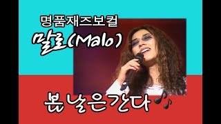 [아름다운음악세상] 재즈보컬 말로(Malo) - 봄날은간다(Live)