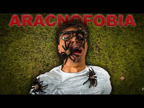 I DEFEATED ARACHNOPHOBIA IN AN EXTREME WAY.