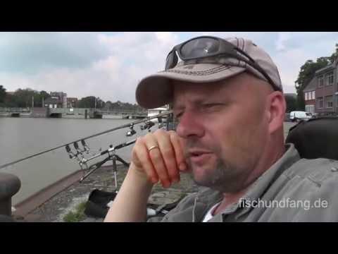 Matze Koch: Aale am Hafen tagsüber - Matzes Mätzchen 05-2015