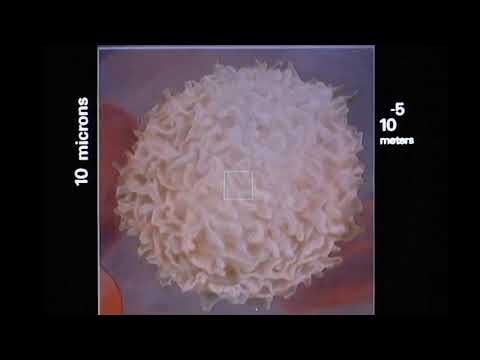 Walter Ego & Lean Low - Like To Be