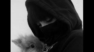 Animal Liberation Front [A.L.F]