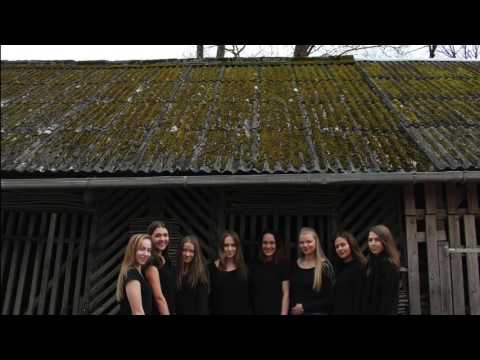 KCV meiteņu vokālais ansamblis, "Adiemus"