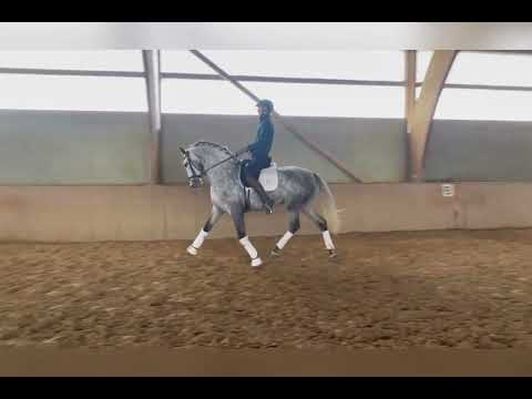 Químico FS - 5 años