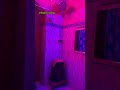INSIDE SONAGACHI Non Premium AC ROOM Full Video Inside Room Viral Fun Viralvideo Kolkata