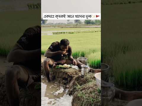 একমাত্র কৃষকই জানে খাদ্যের মূল্য Only the farmer knows the value of food ✨🚩🇮🇳 #shorts #video 👍