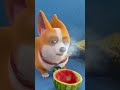 Moco Dog Cartoon Status Funny Cartoon Whatsapp Status Full Screen Xanimeshorts