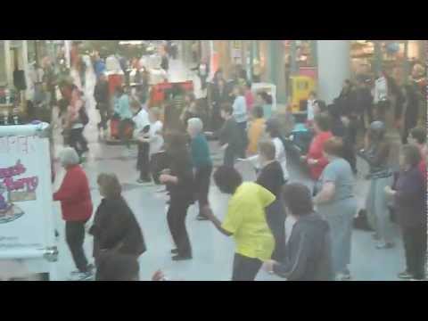 ZUMBA GOLD WITH LINDA - FLASH MOB AT POUGHKEEPSIE GALLERIA 1-6-13