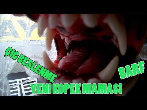 Köpeğimin Yeni Maması -BARF-  Çiğ Beslenme