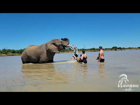 Featured Umngane Safaris Video
