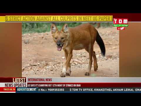 ASIATIC WILD DOG SHIRUI UMANG DA THENGNARE