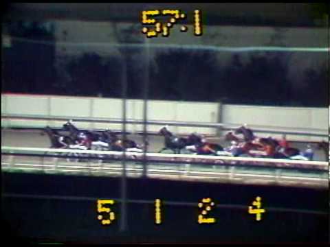1982 Meadowlands Pace - Hilarion & John Campbell