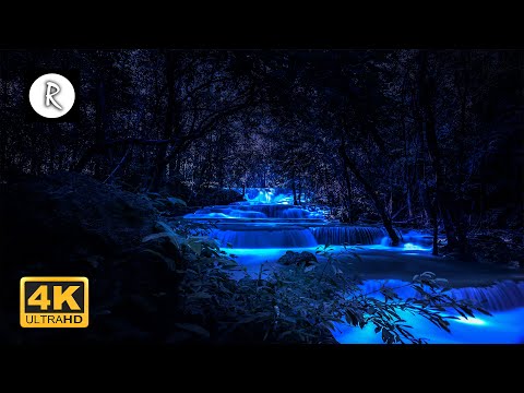 Forest Sounds at Night - Crickets, Creek Water Sounds, Rain & Thunder 🎧 Nature Sound