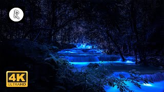 Download lagu Forest Sounds at Night Crickets Creek Water Sounds... mp3