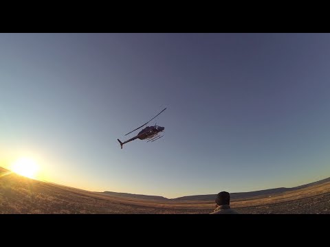 Antelope Capture NM 2014
