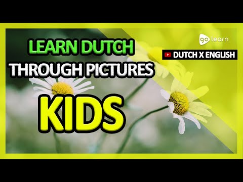 Learn Dutch Through Pictures |Dutch Vocabulary Kids | Golearn
