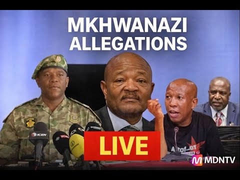 MKHWANAZI ALLEGATIONS | AD HOC COMMITTEE HEARINGS LIVE | PARLIAMENT | 27 JANUARY 2026