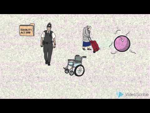 Professional Issues Presentation - Discrimination