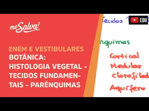 Me Salva! BOT17 - Botânica - Histologia vegetal: tecidos fundamentais - parênquimas
