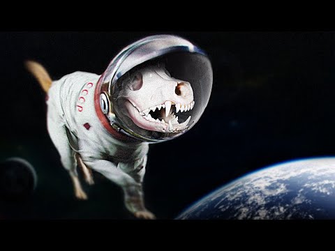 The Sad Story of Laika, the Space Dog