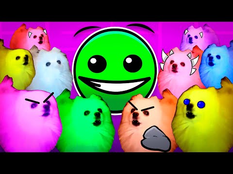 Fire in the Hole but with Dogs