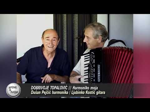 Dobrivoje TOPALOVIC ///  Harmoniko moja  ( Mica Stojanovic )