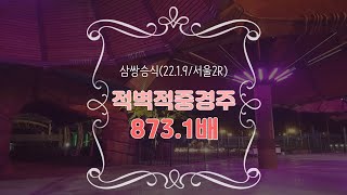 [실전경마] 히든의축으로 삼쌍 873.1배 실전 적중을 보고드립니다