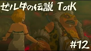 【ゼルダの伝説 ティアーズオブザキングダム】暑さガードと耐火が別物ってマジ？　【1２】