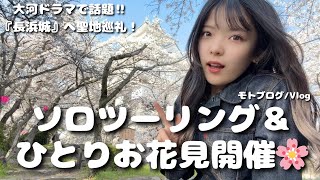 【モトブログ/Vlog】大河ドラマで話題の長浜城へ！バイク女子の気ままなひとりお花見ソロツーリング🌸🏍️