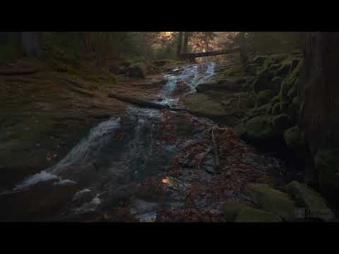 4K HDR Autumn Cascade - Waterfall Sounds - White Water - Relaxing Forest Ambiance Video