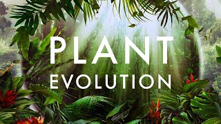 Plant Evolution: Life From Light // Wildlife Tribute