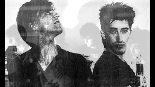 THE CHAMELEONS - Monkeyland