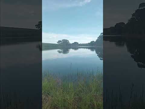 Americano do Brasil go