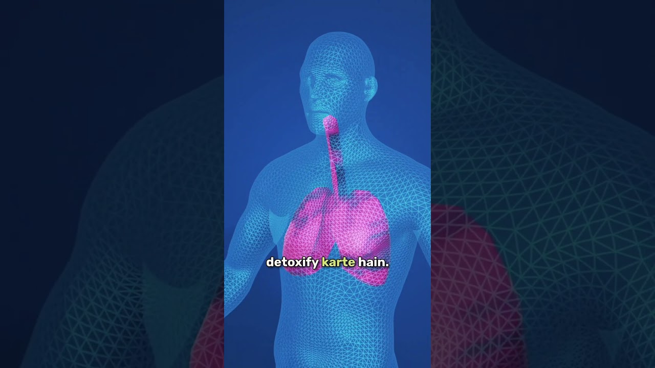 Tough On Toxins, Tender On Lungs | What’s Up Wellness Lung & Liver Detox Capsules