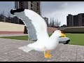Gmod Seagull Dancing