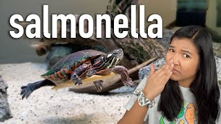 Turtles have SALMONELLA?!? | do turtles smell?