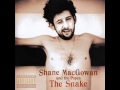Shane MacGowan and The Popes   Christmas lullaby