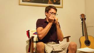 Jimmy (Moriarty) - Harmonica