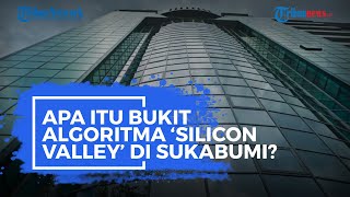 Apa Itu Bukit Algoritma 'Silicon Valley' di Sukabumi?