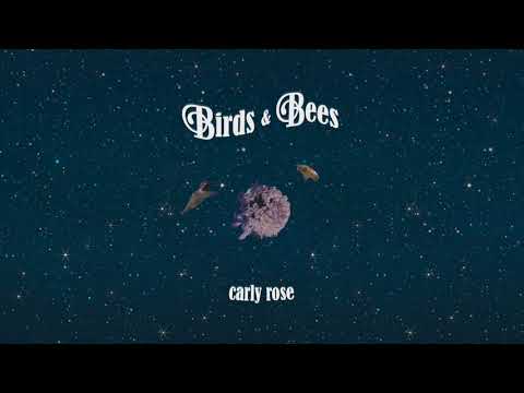 Video thumbnail for ​birds & bees