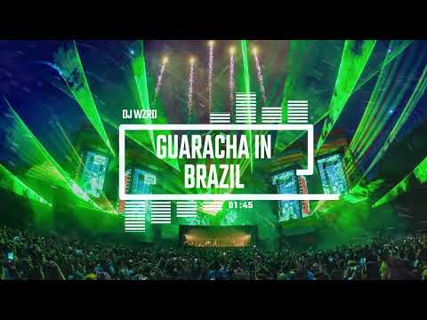 DJ WZRD - Guaracha In Brazil